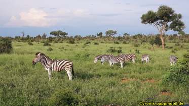 Südafrika
