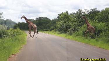 Südafrika