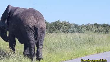 Südafrika