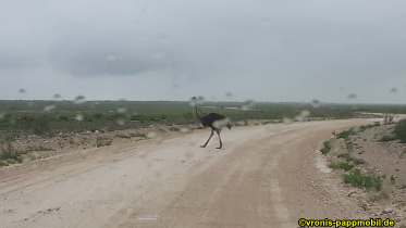 Südafrika