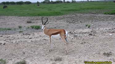 Südafrika