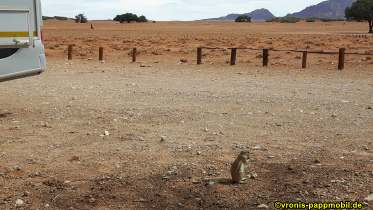 Südafrika