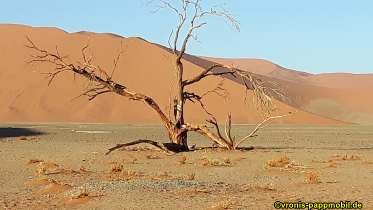 Südafrika
