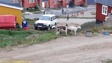 Grönland
