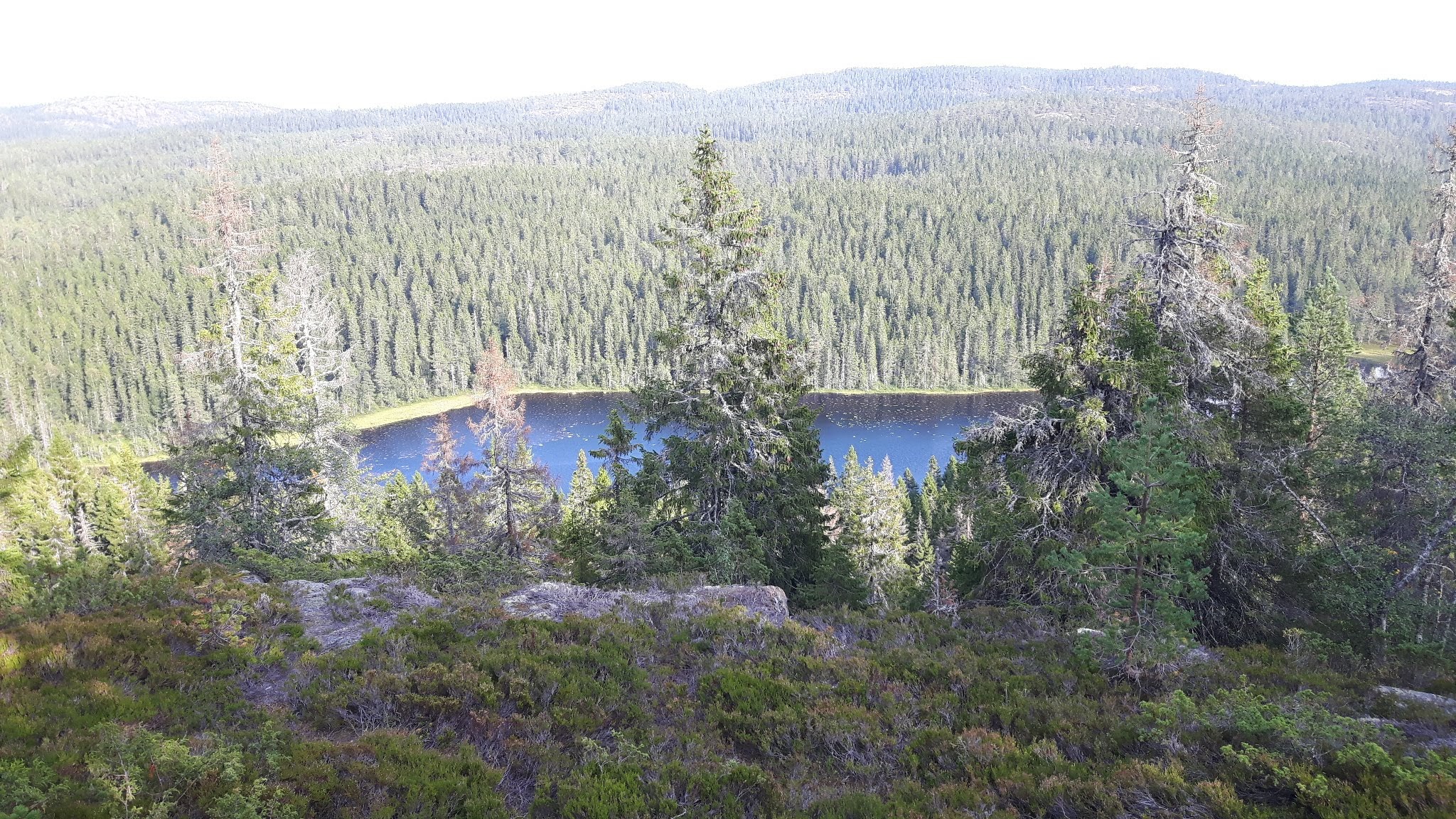 Brücke
