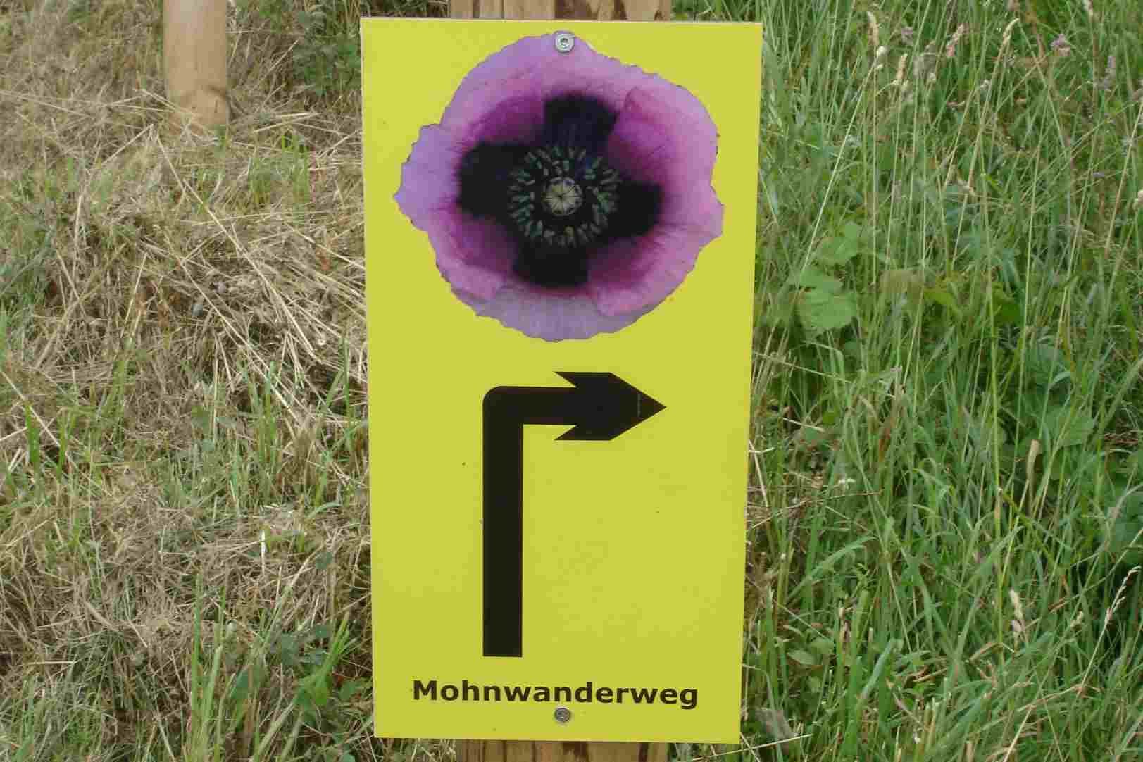 mohnwanderweg