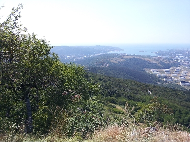 burg2